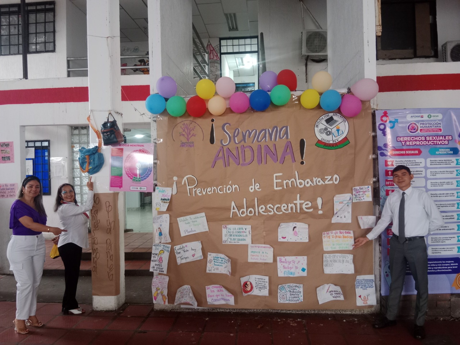 AndinaCol02